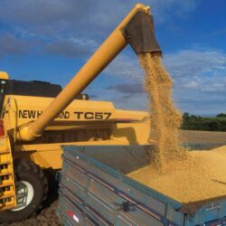 2ª prévia do IGP-M de setembro mostra alta de 1,47%, após queda na leitura de agosto