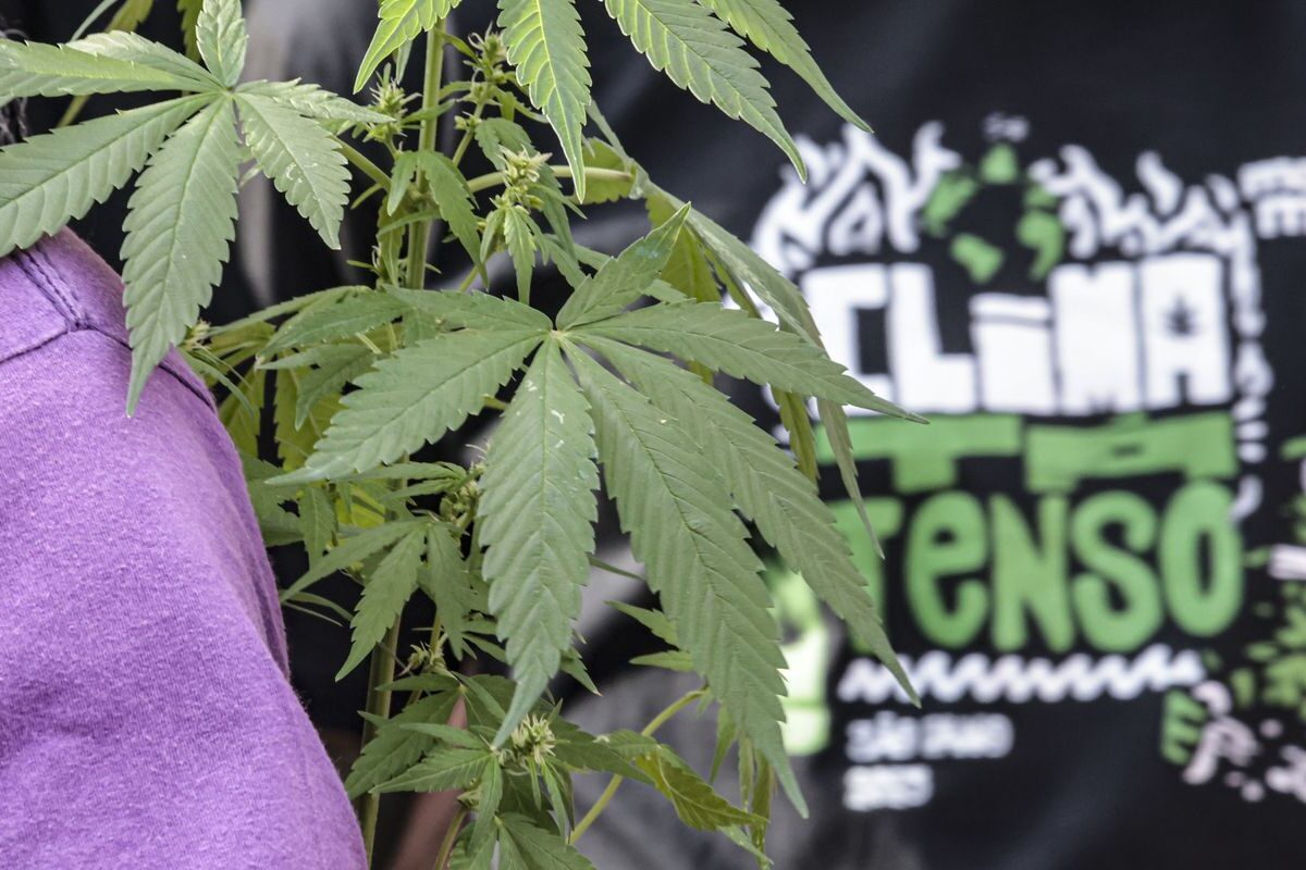 Flagrante por drogas gera mais prisão preventiva do que outros crimes