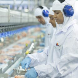 MBRF (MBRF3) capta R$ 825 milhões via debêntures MBRF (MBRF3) capta R$ 825 milhões via debêntures