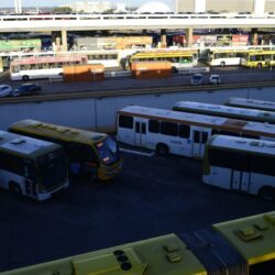 Nunes Marques cobra TREs por transporte público gratuito nas eleições Nunes Marques cobra TREs por transporte público gratuito nas eleições