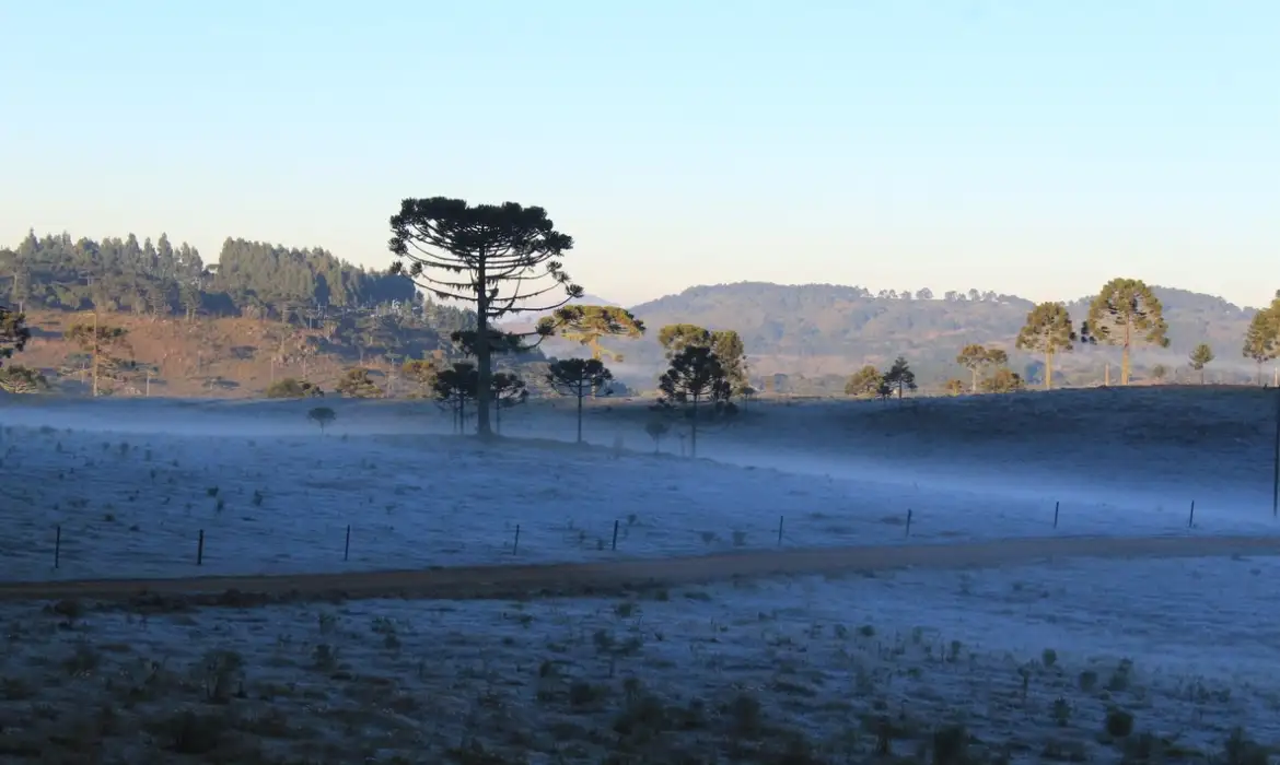 Quinta-feira terá frio no Sudeste e risco de geada no Sul