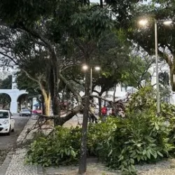 Ventania de 91 km/h atinge o Rio de Janeiro, e cidade recebe alerta severo Ventania de 91 km/h atinge o Rio de Janeiro, e cidade recebe alerta severo